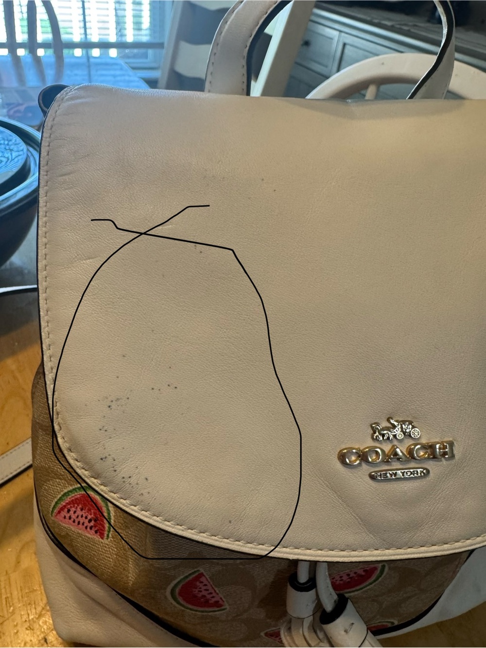 Coach Watermelon Print Signature Canvas Drawstring Backpack - White/Tan - Picture 7 of 9